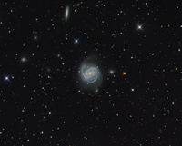 Messier 100 LRGB 145-125-125-125